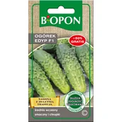 Nasiona i cebule - Nasiona ogórek Edyp F1 2 g BIOPON - miniaturka - grafika 1