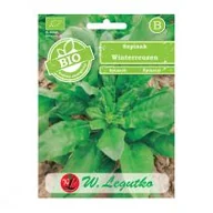 Orzechy i nasiona - Legutko Nasiona Szpinak Winterreuzen BIO 10g - - miniaturka - grafika 1