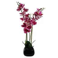 Sztuczne kwiaty - Leaf Design UK sztuczny orchidea naturalny wygląd - miniaturka - grafika 1