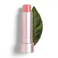 Balsamy do ust - Teaology Teaology Tea Balm Tinted Lip Treatment Tea peach 4.0 g - miniaturka - grafika 1
