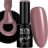 Lakiery hybrydowe - Lakier Hybrydowy Ntn 5g Limited Edition Brązowy Brown Brąz Nr359 - miniaturka - grafika 1