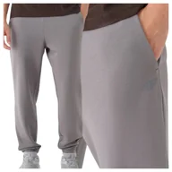 Dresy męskie - Spodnie dresowe joggery męskie 4F 4FWMM00TTROM1139-25S Szary Roz. 2XL - miniaturka - grafika 1