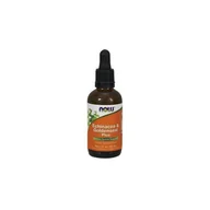 Witaminy i minerały - Now Foods Foods Echinacea i Goldenseal Plus - Jeżówka Purpurowa i Gorzknik Kanadyjski (60 ml) - miniaturka - grafika 1