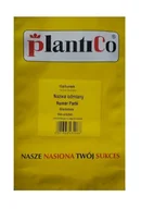 Nasiona i cebule - Fasola karłowa Złota Saxa 500 g Plantico POLAN - miniaturka - grafika 1