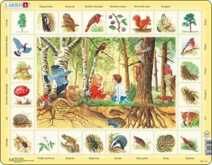 Układanka W lesie Maxi - Larsen - Puzzle - miniaturka - grafika 1