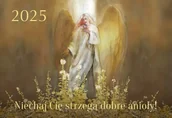 Kalendarze - Kalendarz 2025 Trójdzielny Niechaj Cię strzegą.. - Wydawnictwo Diecezjalne i Drukarnia w Sandomierzu - miniaturka - grafika 1