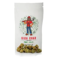 Zioła - GIGA CHAD susz konopny THC <0.3% 10g - miniaturka - grafika 1