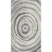 Dywany dla dzieci - Dywan dziecięcy 3d Dywilan Luna 9 40449 Wood grey - miniaturka - grafika 1