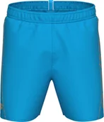 Majtki męskie - Męskie Szorty FUNDAMENTALS ARENA LOGO BOXER R - miniaturka - grafika 1