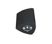 Lampy sufitowe - Azzardo DARIO LAMPA NATYNKOWA GM4109 CZARNA GM4109 BK - miniaturka - grafika 1