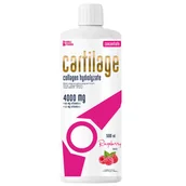 Stawy, mięśnie, kości - Noblepharma Cartilage, smak malinowy, 500 ml - miniaturka - grafika 1