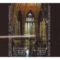 Okefenokee 2002 (Ricochet Gathering) (CD) - Inna muzyka - miniaturka - grafika 1