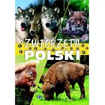 Fenix Zwierzęta Polski praca zbiorowa - Albumy - przyroda - miniaturka - grafika 1