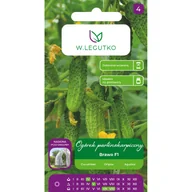 Nasiona i cebule - Ogórek szklarniowy partenokarpiczny Brawo F1 nasiona W.Legutko - miniaturka - grafika 1