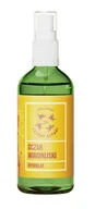 Toniki i hydrolaty do twarzy - Mydlarnia Cztery Szpaki Hydrolat z Oczaru Wirginijskiego 100ml - miniaturka - grafika 1