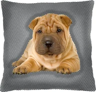 Kołdry i poduszki dla dzieci - Bertoni-arco Poduszka - SCOTT - 40x40 cm - miniaturka - grafika 1