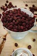 Przyprawy i zioła sypkie - Głóg Owoc Głogu (Crataegus) 50 g - miniaturka - grafika 1