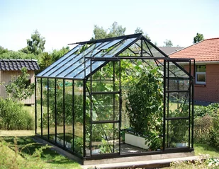 VITAVIA szklarnia ogrodowa URANUS 9900 czarna (9.9 m², 2.57 m x 3.83 m), szkło hartowane + baza - Szklarnie ogrodowe VITAVIA szklarnia ogrodowa URANUS 9900 czarna (9.9 m², 2.57 m x 3.83 m), szkło hartowane + baza - Szklarnie ogrodowe - miniaturka - grafika 4