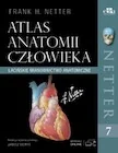 Nauki przyrodnicze - Atlas anatomii człowieka - miniaturka - grafika 1