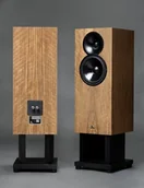 Głośniki i kolumny - WiggArt Artis - miniaturka - grafika 1