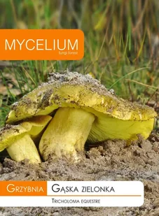 Grzybnia - Gąska zielonka 10g - Nasiona i cebule - miniaturka - grafika 1