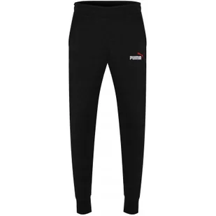 Spodnie Puma ESS 2 Col Logo Pants TR cl, Mężczyźni - Spodnie sportowe męskie - miniaturka - grafika 1