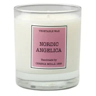 Świece - CERERIA MOLLA Świeca Santiago 230 gr. Nordic Angelica - CERERIA MOLLA B3-IMP-CM-5503 - miniaturka - grafika 1