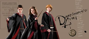 Sanders & Sanders plakat Harry Potter, Hermiona Granger, Ron Weasley beżowym,czarnymIczerwonym - 601269 - 1.7 x 0.75 m - Plakaty - miniaturka - grafika 1