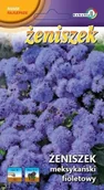 Nasiona i cebule - Żeniszek meksykański fioletowy 0,3g / L / - miniaturka - grafika 1