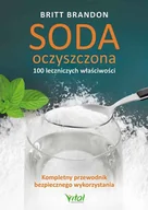 Poradniki hobbystyczne - Soda oczyszczona – 100 leczniczych właściwości - miniaturka - grafika 1