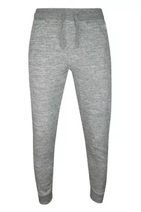 Spodnie Dresowe Szare z Kieszonkami, Sportowe, Męskie, ze Ściągaczami -PAKO JEANS - Pako Jeans - Spodnie męskie - miniaturka - grafika 1