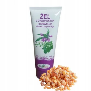 Gorvita ŻEL Z ŻYWOKOSTEM I BOSWELLIĄ 200ML G473 - Żele i maści lecznicze - miniaturka - grafika 1