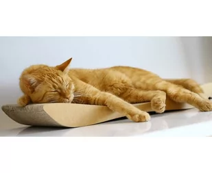 MyKotty Drapak Tobi brązowy - Drapaki dla kotów MyKotty Drapak Tobi brązowy - Drapaki dla kotów - miniaturka - grafika 2