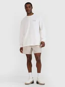 Spodenki męskie - 4F Spodenki casual męskie - beżowe 3XL - miniaturka - grafika 1