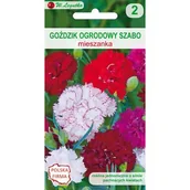 Nasiona i cebule - Goździk ogrodowy Szabo mieszanka 40-50 cm W.Legutko - miniaturka - grafika 1