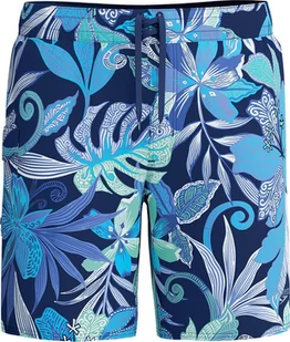 Męskie Szorty Print Brdshrt 18" fiery red/white/french blue rozmiar 36 - Spodnie sportowe męskie - miniaturka - grafika 1