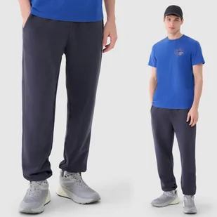 Spodnie Męskie 4F Joggery Sportowe Dresy Antracytowe 4FWSS25TTROM1120 L Szary - Dresy męskie Spodnie Męskie 4F Joggery Sportowe Dresy Antracytowe 4FWSS25TTROM1120 L Szary - Dresy męskie - miniaturka - grafika 1