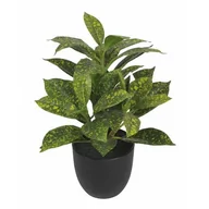 Sztuczne kwiaty - SPLENDID Aucuba sztuczna 30cm w doniczce - miniaturka - grafika 1