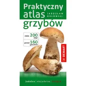 Pozostałe książki - Praktyczny atlas grzybów - miniaturka - grafika 1