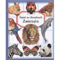 Świat w obrazkach Zwierzęta Nowa - Baśnie, bajki, legendy - miniaturka - grafika 2