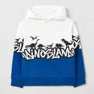 Bluzy dla chłopców - Bluza dziecięca OVS Hooded Sweat Twilight Blu 1820932 110 cm Blue (8056781571903) - miniaturka - grafika 1