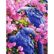 Malowanie po numerach - Twoje Hobby Malowanie po numerach. Ptaki w kwiatach 40 x 50 cm - miniaturka - grafika 1