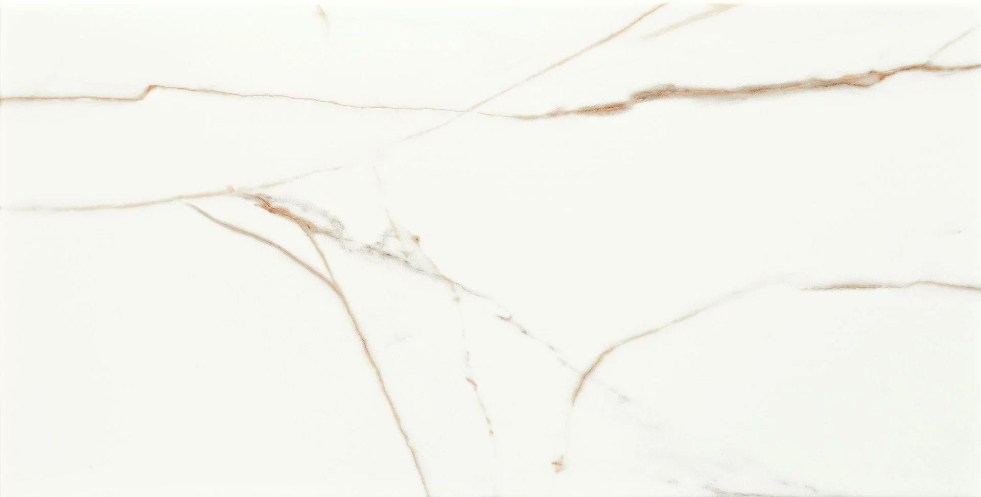 Płytka ścienna Floris white 30,8 x 60,8 cm