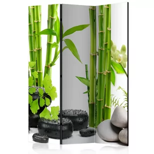 Parawan 3-częściowy - Bambusy i kamienie [Room Dividers] (rozmiar 135x172) - Parawany - miniaturka - grafika 1