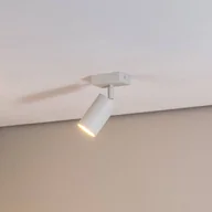 Lampy sufitowe - Argon Reflektor sufitowy Sado biały stalowy, regulowany, 1-punktowy, kątowy - miniaturka - grafika 1