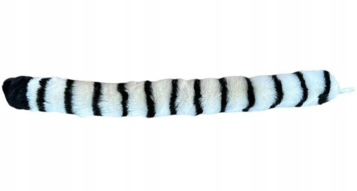 Ogon lemura 60cm