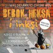 Pozostałe książki - Aleksandria Bebok heksa i inksi. Rzecz o śląskich... Audiobook - miniaturka - grafika 1