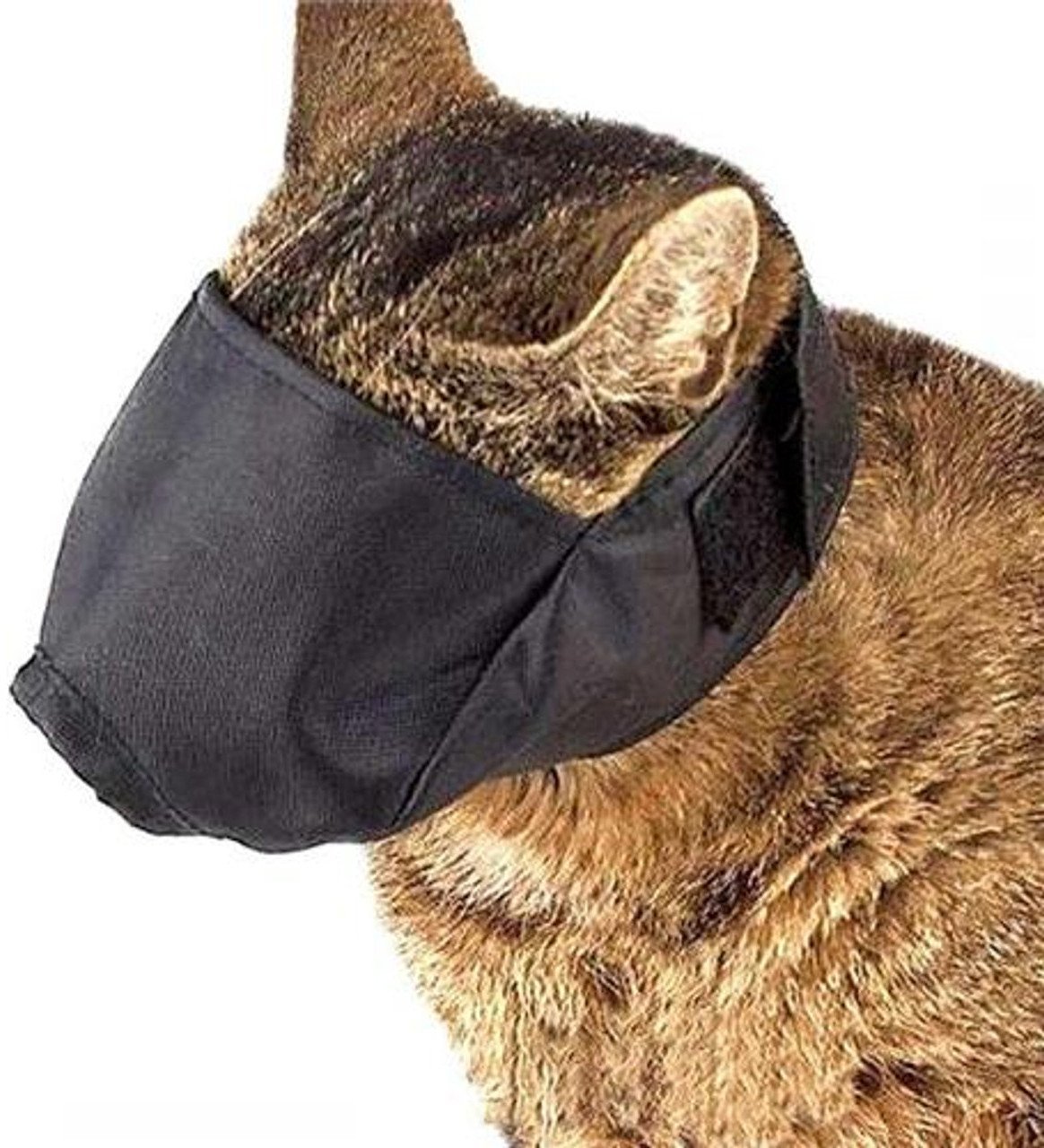 WAU DOG KAGANIEC DLA KOTA MAŁY