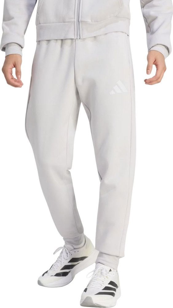 Spodnie męskie adidas Entrada 26 Sweat szare JZ9139 S