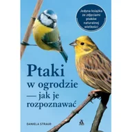 Poradniki hobbystyczne - Ptaki w ogrodzie — jak je rozpoznawać - miniaturka - grafika 1